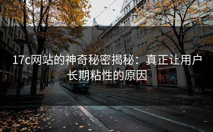 17c网站的神奇秘密揭秘：真正让用户长期粘性的原因