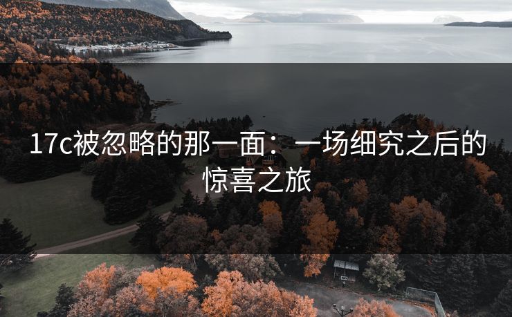 17c被忽略的那一面：一场细究之后的惊喜之旅