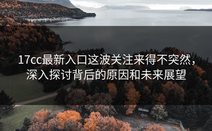 17cc最新入口这波关注来得不突然，深入探讨背后的原因和未来展望