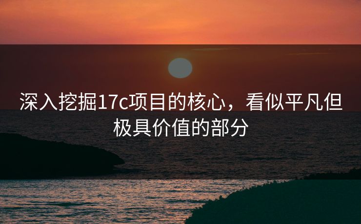 深入挖掘17c项目的核心，看似平凡但极具价值的部分
