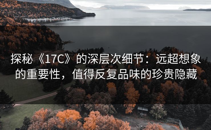探秘《17C》的深层次细节：远超想象的重要性，值得反复品味的珍贵隐藏