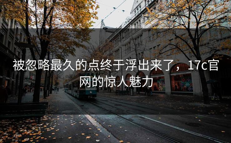 被忽略最久的点终于浮出来了，17c官网的惊人魅力