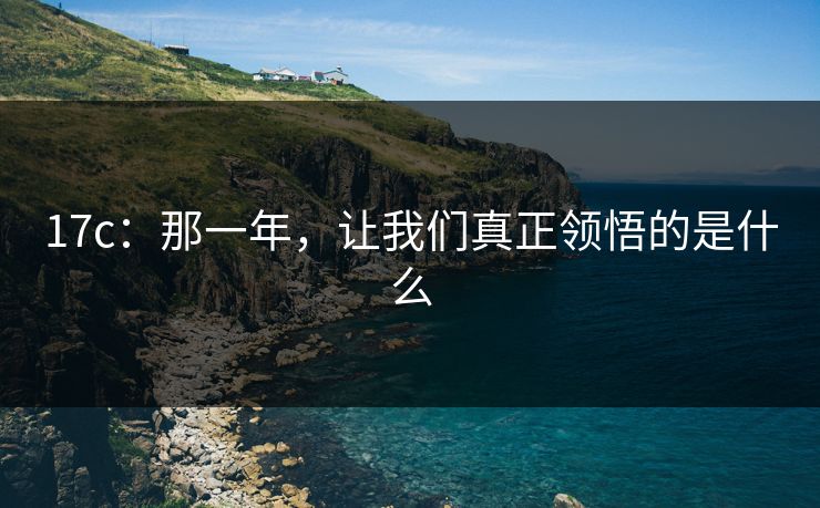 17c:那一年,让我们真正领悟的是什么 17c:那一年,让我们真正领悟的是什么