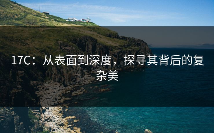 17C:从表面到深度,探寻其背后的复杂美 17C:从表面到深度,探寻其背后的复杂美